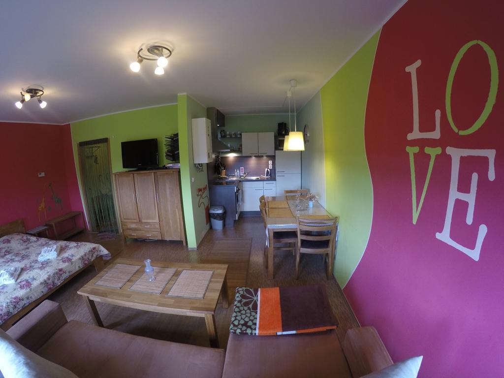 Studio Krusne Hory Klinovec Loucna pod Klinovcem Room photo